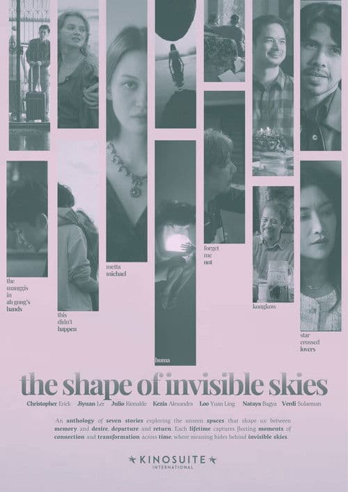 Poster The Shape of Invisible Skies